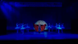 「サンタも驚く！！クリスマスパフォーミング時計宝飾展示会」最終日はクラシック・バレエとコンサート